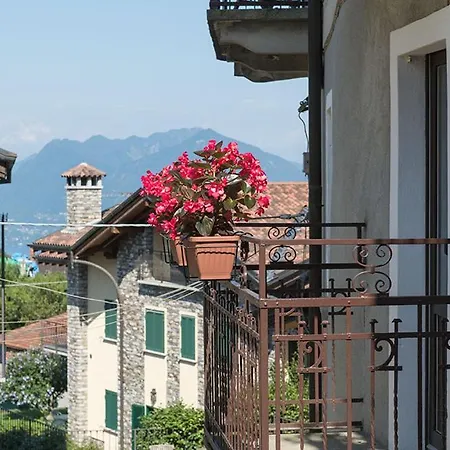 Apartmán Levoasi 4 Levo