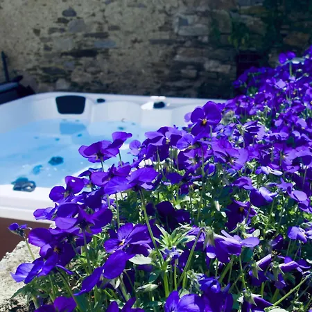 Levoasi 4 Apartman Levo