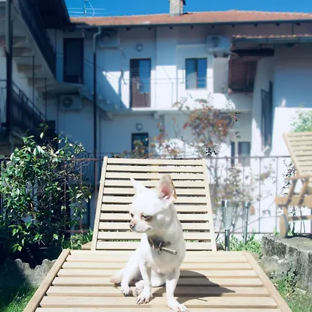 Levoasi 4 - Garden, Jacuzzi And Sauna Escape Apartamento *